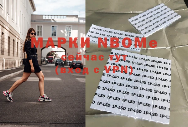 дмт Новозыбков