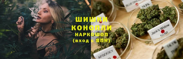 дмт Новозыбков