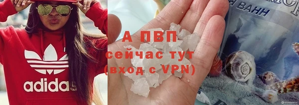 амф Новодвинск