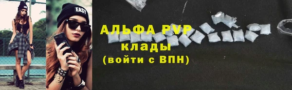 амф Новодвинск