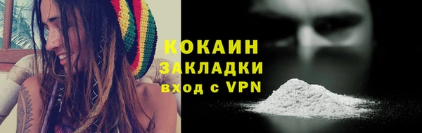 дмт Новозыбков