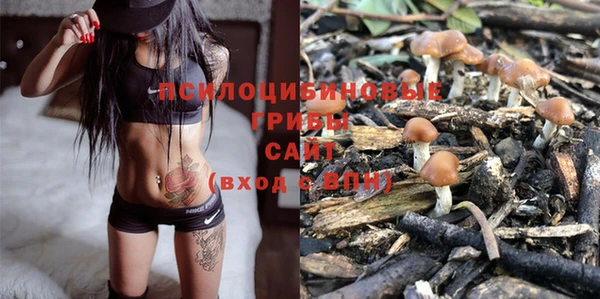 амф Новодвинск
