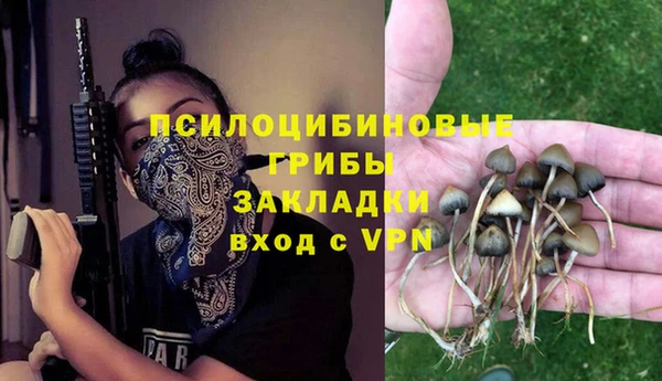 дмт Новозыбков