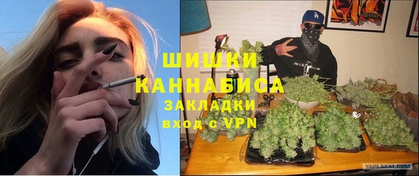 амф Новодвинск