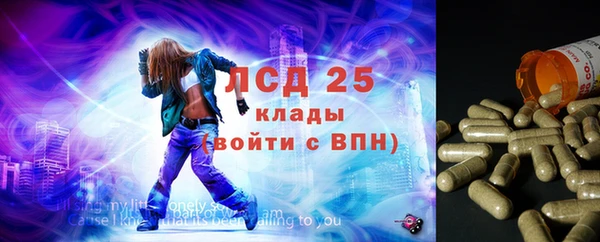 амф Новодвинск