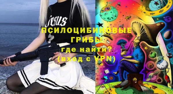 амф Новодвинск