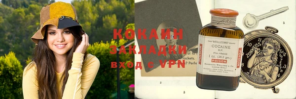 дмт Новозыбков
