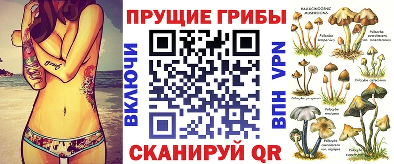 Псилоцибиновые грибы Cubensis  Краснокаменск 