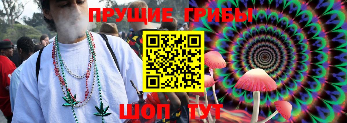Краснокаменск  как найти   Вход с VPN  Псилоцибиновые грибы мицелий 