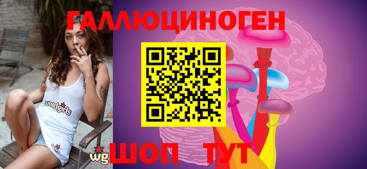Псилоцибиновые грибы GOLDEN TEACHER Краснокаменск